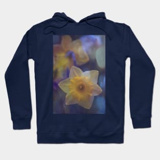 Daffodils 17 Hoodie